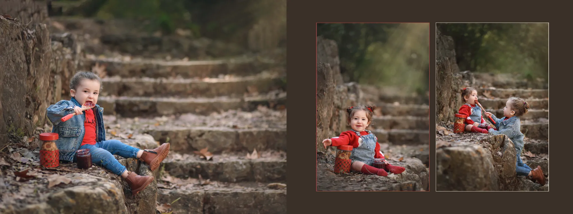 אלבום גולדברג13