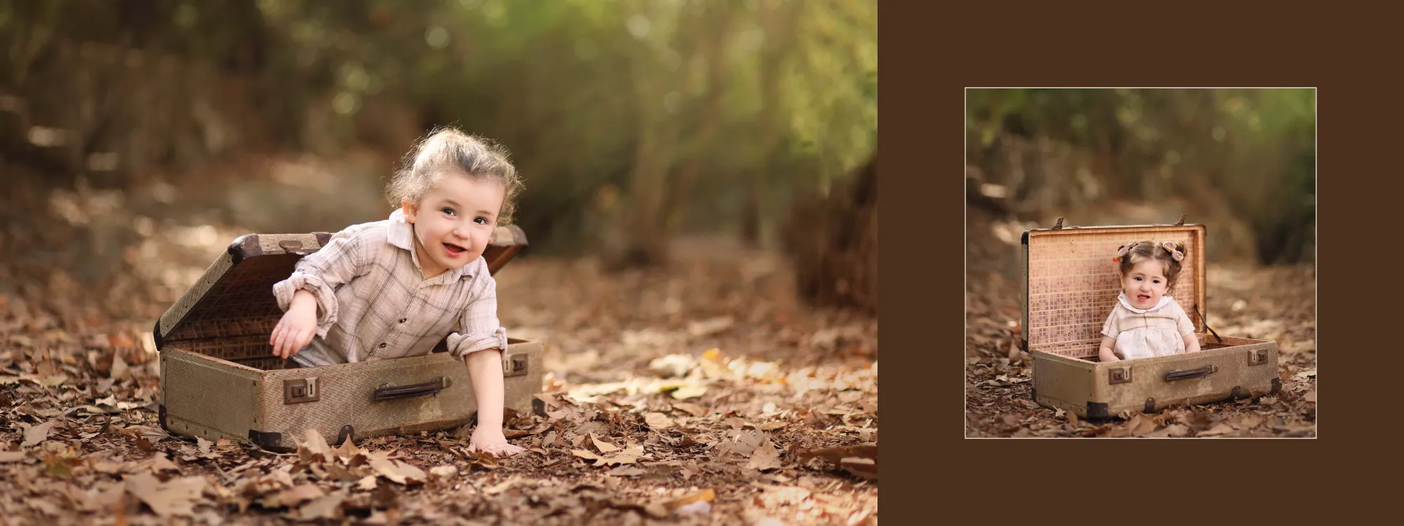 אלבום גולדברג19