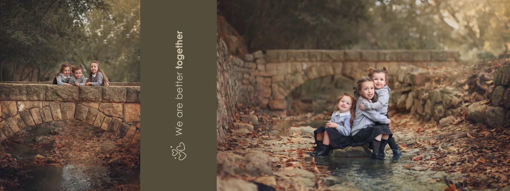 אלבום גולדברג2