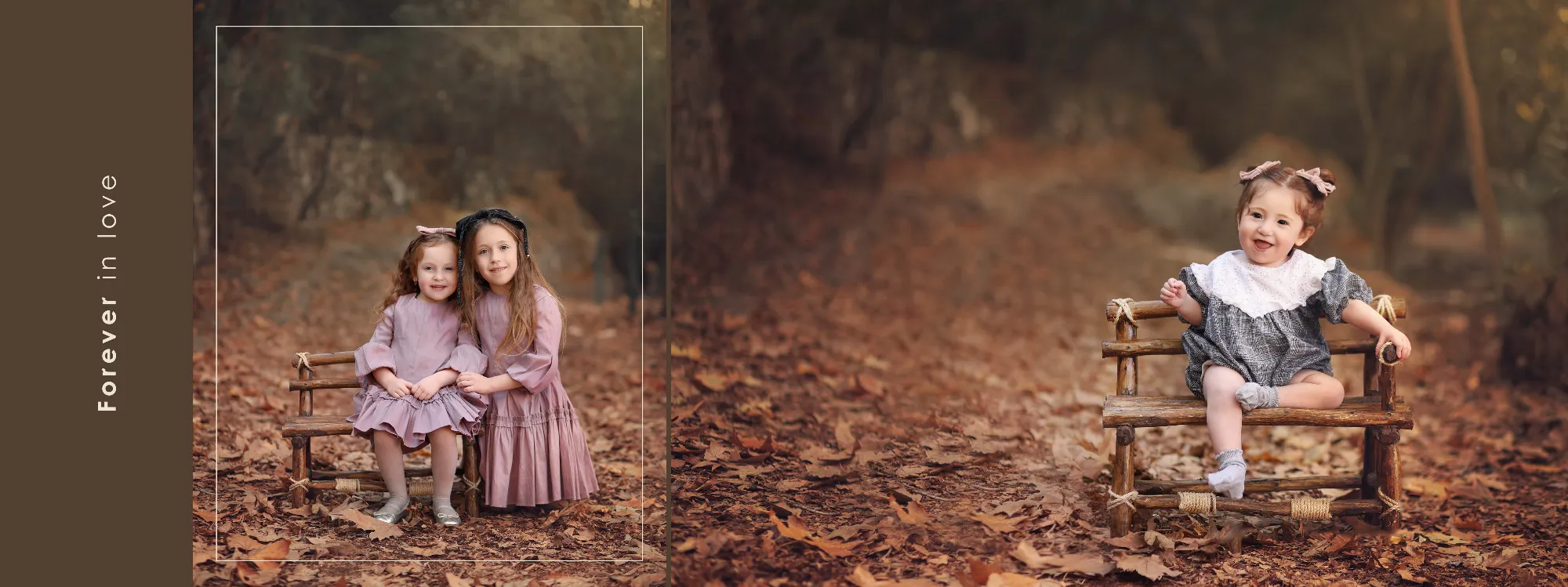 אלבום גולדברג8