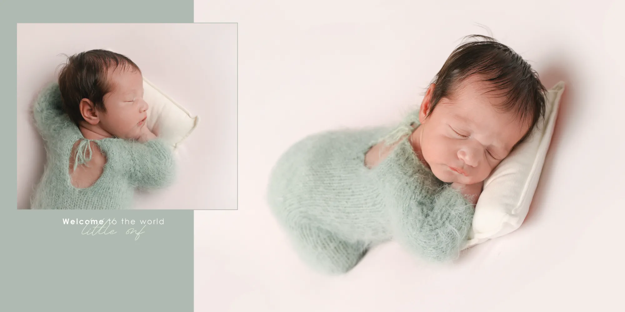 אלבום יעל לפיתוח2