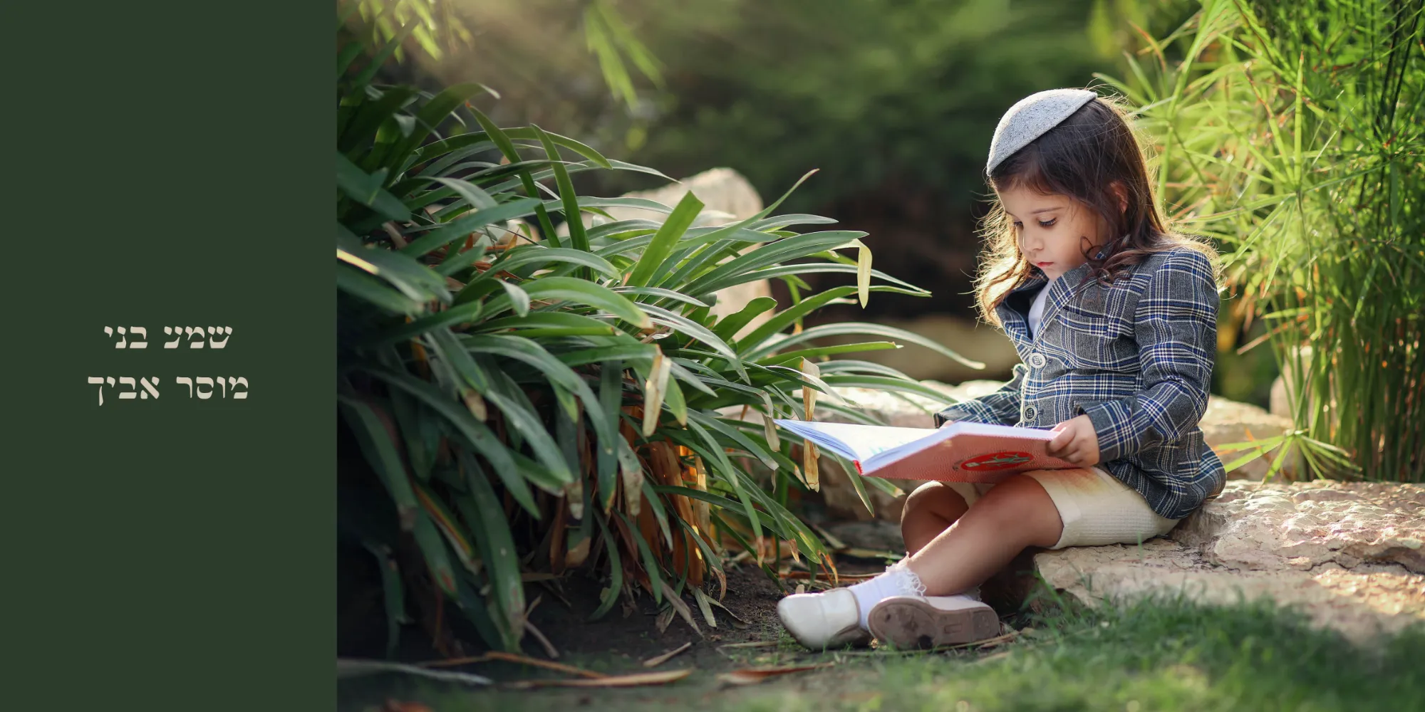 אלבום כלימי7