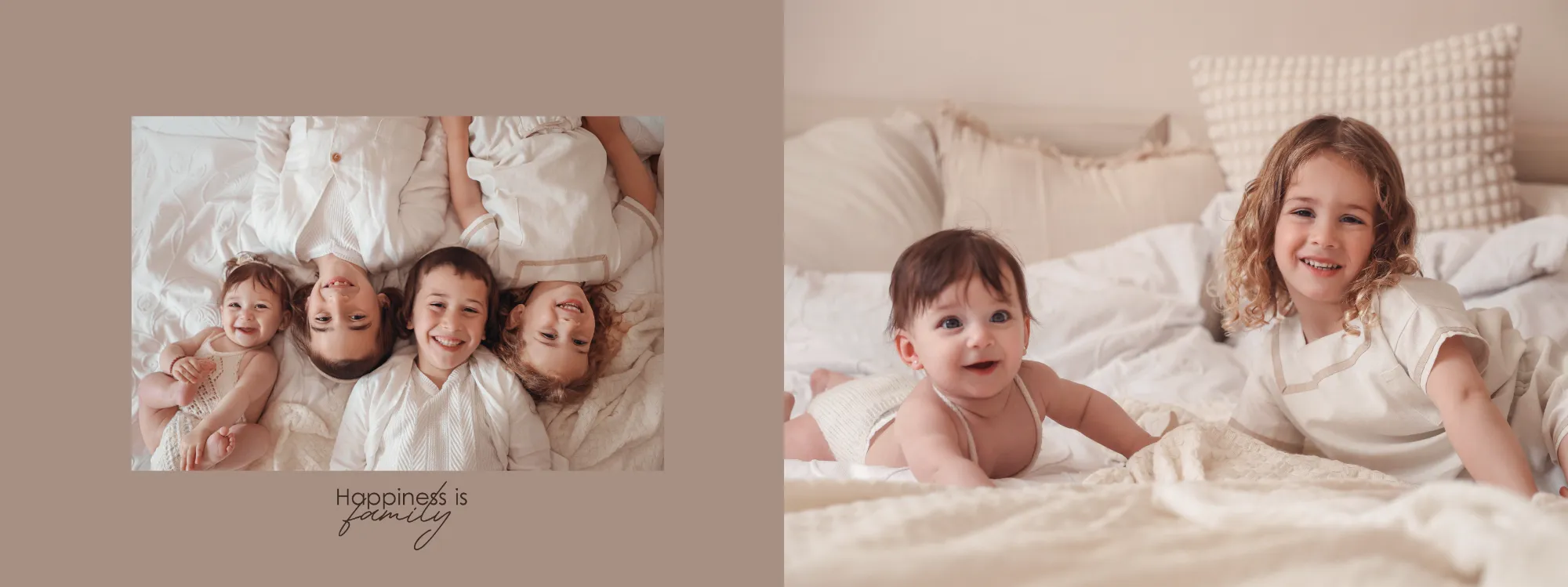 רוחי פרוש אלבום13