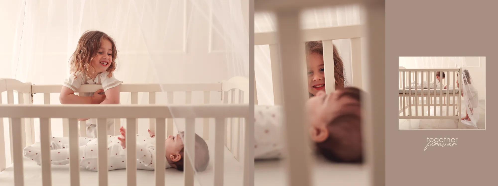 רוחי פרוש אלבום19